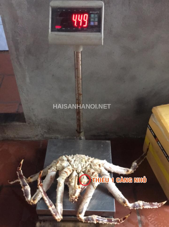cua hoang de 1 cang 02 64693