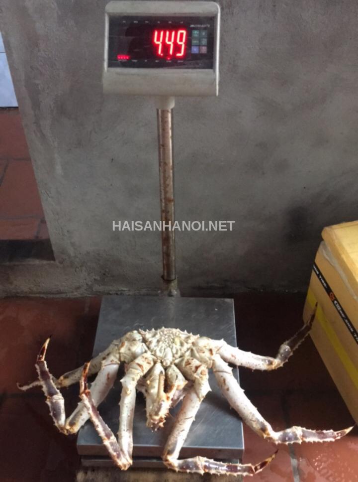 cua hoang de 1 cang b6b5c